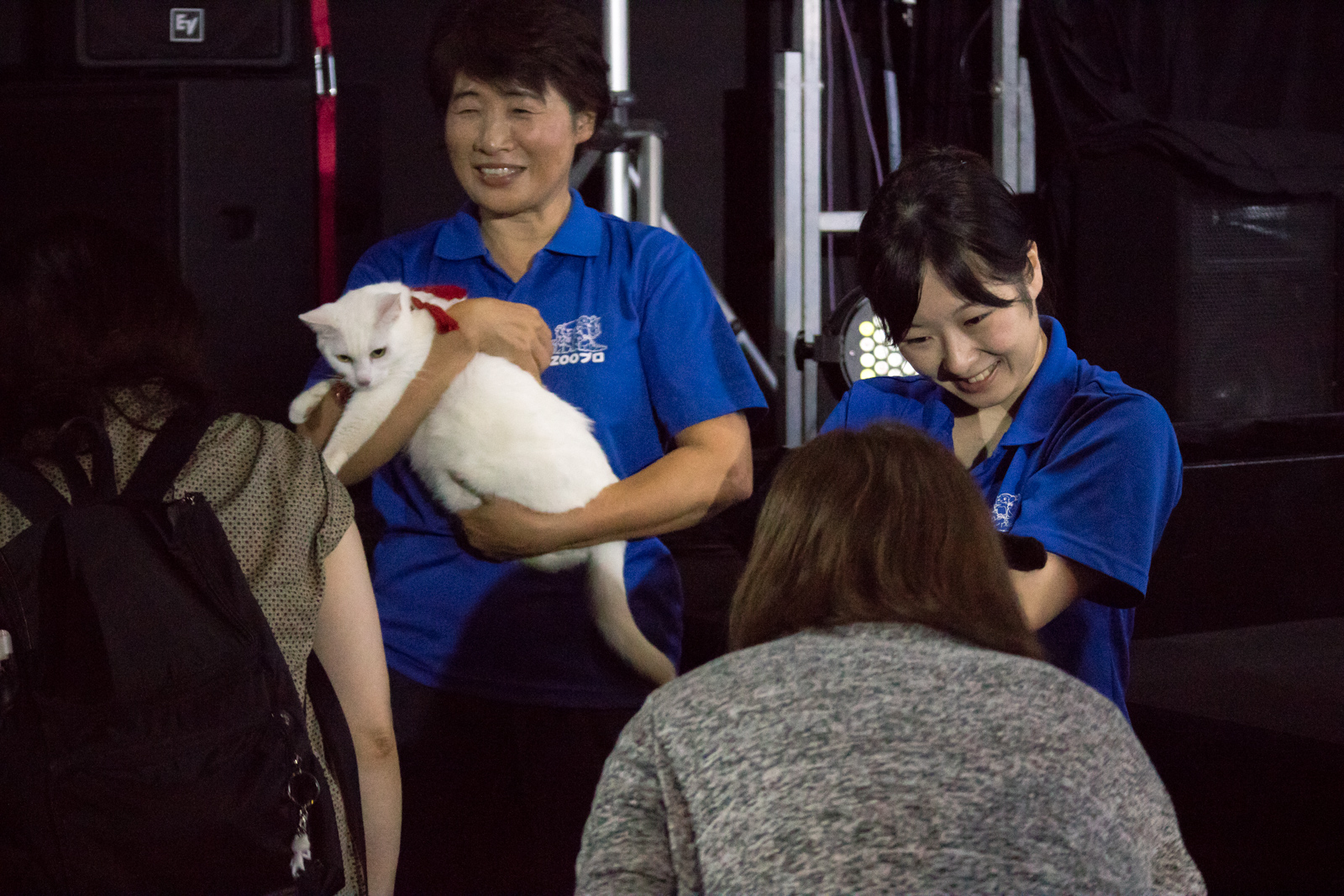 猫侍 南の島へ行く 舞台挨拶