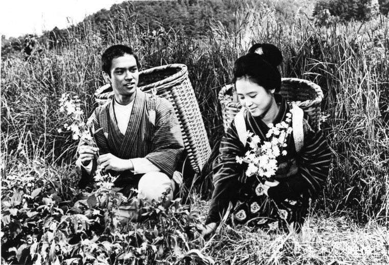 2.野菊の墓