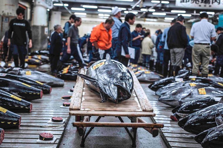 TSUKIJI WONDERLAND (築地ワンダーランド) サブ4