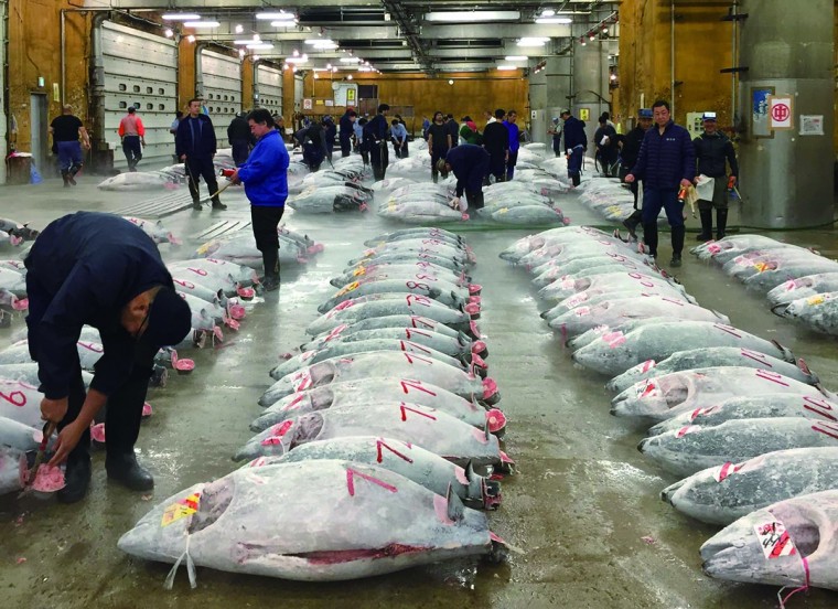 TSUKIJI WONDERLAND (築地ワンダーランド)