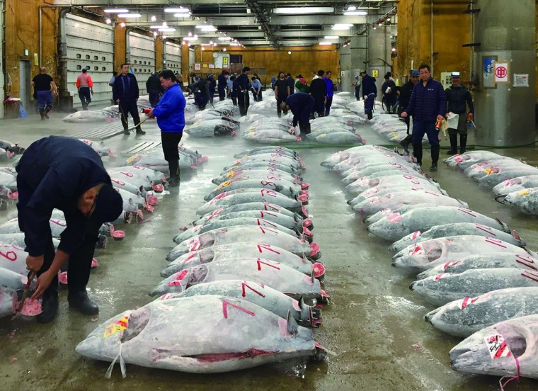 TSUKIJI WONDERLAND （築地ワンダーランド）