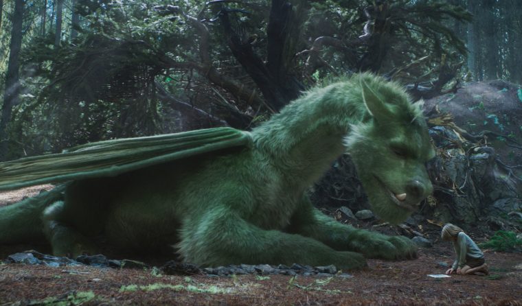 Oakes Fegley is Pete in Disney's PETE'S DRAGON, the story of a boy named Pete and his best friend Elliot, who just happens to be a dragon.