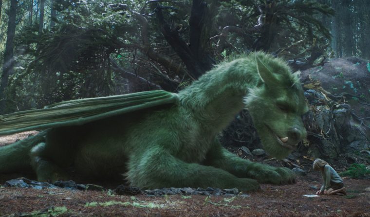 Oakes Fegley is Pete in Disney's PETE'S DRAGON, the story of a boy named Pete and his best friend Elliot, who just happens to be a dragon.