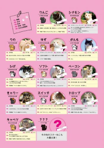 ねこあつめの家 メイン猫キャスト